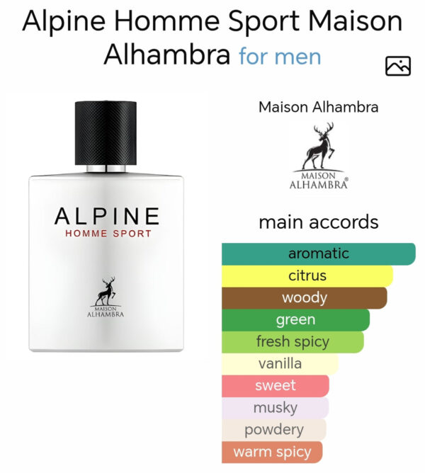 Alpine Homme Sport