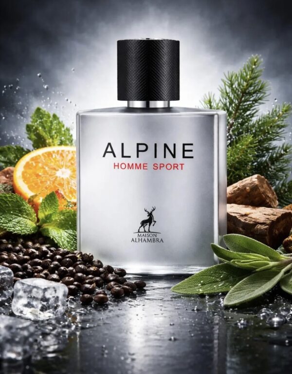 Alpine Homme Sport